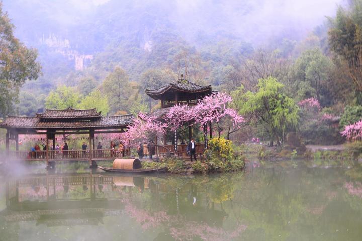 尘埃3